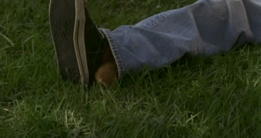 海量搞笑GIF动态图片 - Funny GIF Pictures