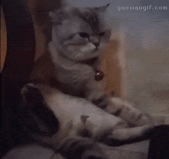 海量搞笑GIF动态图片 - Funny GIF Pictures