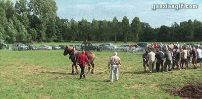 海量搞笑GIF动态图片 - Funny GIF Pictures