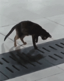 海量搞笑GIF动态图片 - Funny GIF Pictures