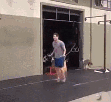 海量搞笑GIF动态图片 - Funny GIF Pictures