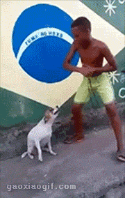 海量搞笑GIF动态图片 - Funny GIF Pictures