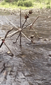 海量搞笑GIF动态图片 - Funny GIF Pictures