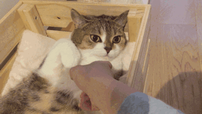 海量搞笑GIF动态图片 - Funny GIF Pictures