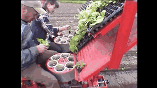 海量搞笑GIF动态图片 - Funny GIF Pictures