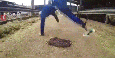 海量搞笑GIF动态图片 - Funny GIF Pictures