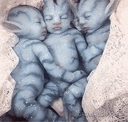 海量搞笑GIF动态图片 - Funny GIF Pictures