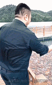 海量搞笑GIF动态图片 - Funny GIF Pictures
