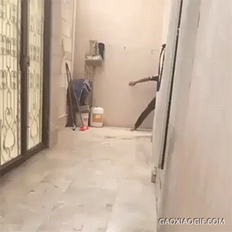 海量搞笑GIF动态图片 - Funny GIF Pictures