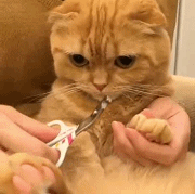 海量搞笑GIF动态图片 - Funny GIF Pictures