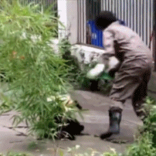 海量搞笑GIF动态图片 - Funny GIF Pictures