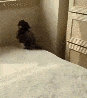 海量搞笑GIF动态图片 - Funny GIF Pictures