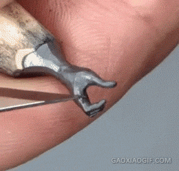 海量搞笑GIF动态图片 - Funny GIF Pictures