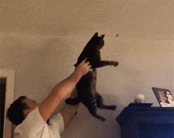 海量搞笑GIF动态图片 - Funny GIF Pictures