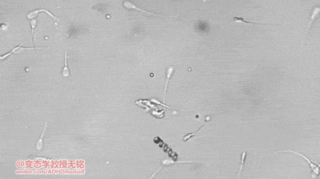 海量搞笑GIF动态图片 - Funny GIF Pictures