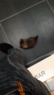 海量搞笑GIF动态图片 - Funny GIF Pictures