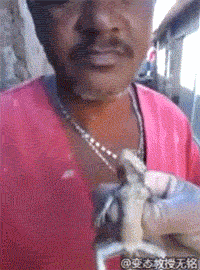 海量搞笑GIF动态图片 - Funny GIF Pictures