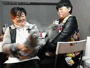 海量搞笑GIF动态图片 - Funny GIF Pictures