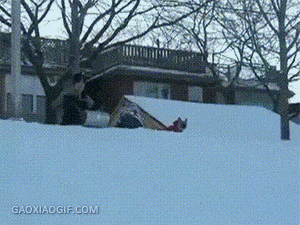 海量搞笑GIF动态图片 - Funny GIF Pictures