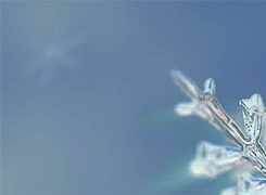 海量搞笑GIF动态图片 - Funny GIF Pictures