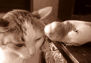 海量搞笑GIF动态图片 - Funny GIF Pictures