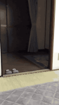 海量搞笑GIF动态图片 - Funny GIF Pictures