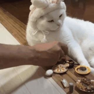 海量搞笑GIF动态图片 - Funny GIF Pictures