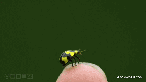 海量搞笑GIF动态图片 - Funny GIF Pictures