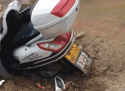 海量搞笑GIF动态图片 - Funny GIF Pictures