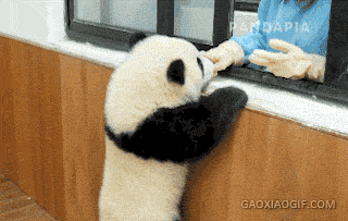 海量搞笑GIF动态图片 - Funny GIF Pictures