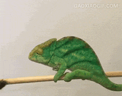 海量搞笑GIF动态图片 - Funny GIF Pictures