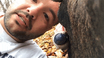 海量搞笑GIF动态图片 - Funny GIF Pictures