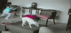 海量搞笑GIF动态图片 - Funny GIF Pictures