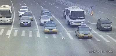 海量搞笑GIF动态图片 - Funny GIF Pictures