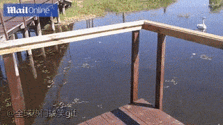 海量搞笑GIF动态图片 - Funny GIF Pictures