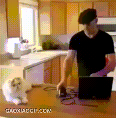 海量搞笑GIF动态图片 - Funny GIF Pictures