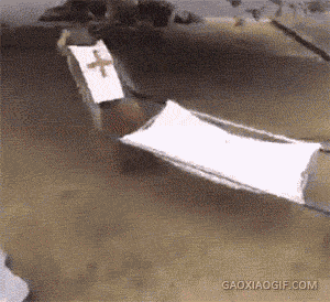 海量搞笑GIF动态图片 - Funny GIF Pictures