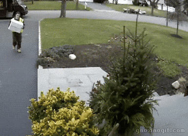 海量搞笑GIF动态图片 - Funny GIF Pictures