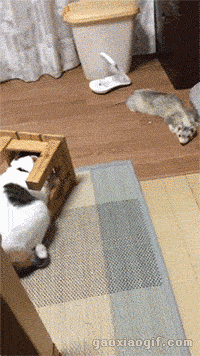 海量搞笑GIF动态图片 - Funny GIF Pictures