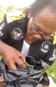 海量搞笑GIF动态图片 - Funny GIF Pictures