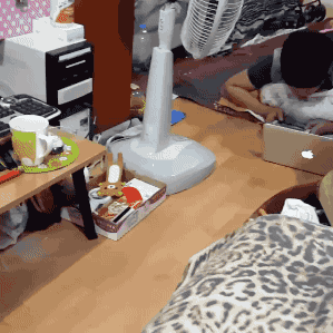 海量搞笑GIF动态图片 - Funny GIF Pictures