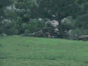 海量搞笑GIF动态图片 - Funny GIF Pictures