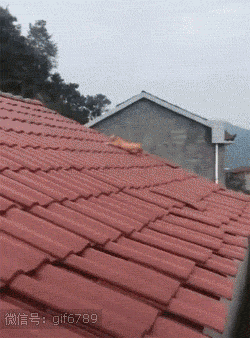 海量搞笑GIF动态图片 - Funny GIF Pictures