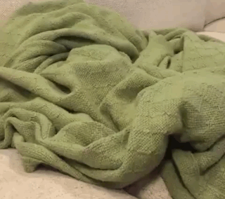 海量搞笑GIF动态图片 - Funny GIF Pictures