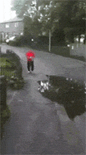 海量搞笑GIF动态图片 - Funny GIF Pictures