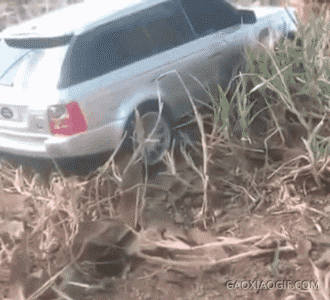 海量搞笑GIF动态图片 - Funny GIF Pictures