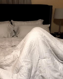 海量搞笑GIF动态图片 - Funny GIF Pictures