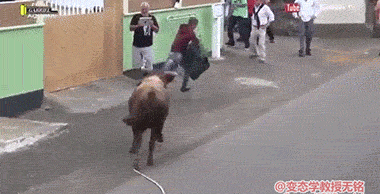 海量搞笑GIF动态图片 - Funny GIF Pictures