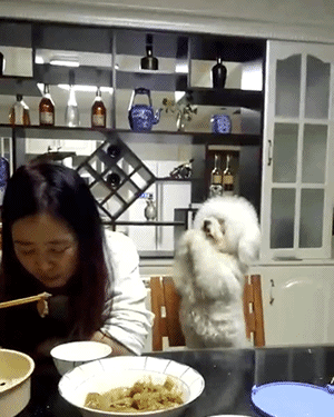 海量搞笑GIF动态图片 - Funny GIF Pictures