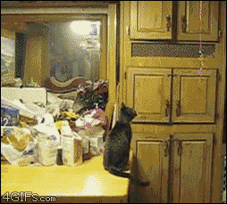 海量搞笑GIF动态图片 - Funny GIF Pictures